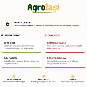 Infografic AgroIași privind regulile de picnic: zonele Ciric și C.A. Rosetti permit grătarul cu foc, în timp ce Cetățuia, Galata și Pădurea Bârnova sunt destinate exclusiv picnicului fără foc.