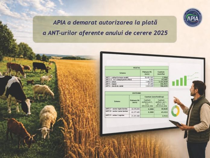 Tabel cu valorile subvențiilor APIA 2026: cuantumuri ANT vegetal (teren arabil, sfeclă, tutun) și zootehnic (bovine, ovine) pentru campania 2025.