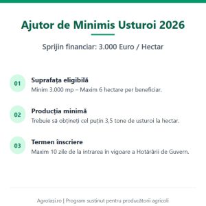 Infografic cu cei 4 pași pentru obținerea subvenției la usturoi: suprafață, producție minimă, termene și documente.