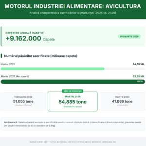 Infografic tehnic AgroIași.ro cu fundal verde și alb, intitulat 'AVICULTURA MENȚINE RITMUL DE CREȘTERE INDUSTRIALĂ (DATE INS)'. Prezintă diagrame cu bare verzi și pictograme de pui, comparând sacrificările și tonajul în carcasă pentru Martie 2026, Martie 2025 și Februarie 2026, evidențiind o creștere de 37% față de anul trecut.