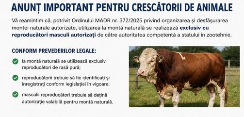Afiș oficial al Agenției Naționale pentru Zootehnie privind regulile stabilite de Ordinul MADR 372/2025 pentru autorizarea reproducătorilor masculi.