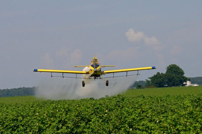 Avion utilitar galben efectuând o operațiune de pulverizare aeriană cu produse de protecție a plantelor deasupra unui teren agricol verde.