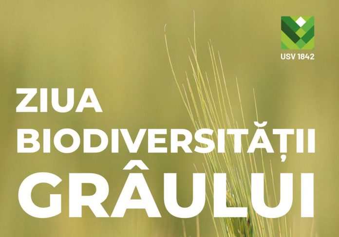 Evenimentul Ziua Biodiversității Grâului 2026 la Stațiunea Ezăreni organizat de USV Iași.