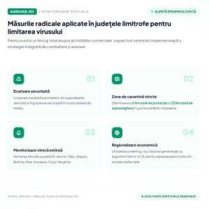 Infografic cu masurile radicale ANSVSA pentru salvarea exporturilor de ovine din Romania
