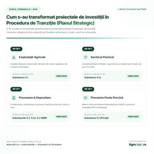 Infografic pătrat pe fundal alb cu elemente verzi detalizând transformarea proiectelor de investiții în procedura de tranziție pentru intervențiile DR-39 T, DR-40 T, DR-41 T și DR-49 T.
