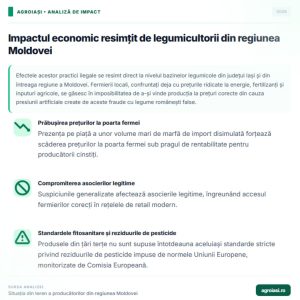 Inspectori ai Corpului de control din Ministerul Agriculturii verificând lăzile cu marfă în cadrul anchetei privind cazurile de fraude cu legume românești