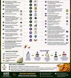 Infografic ANZ cu pasii pentru autorizarea stupinelor de multiplicare si documente necesare stupine de elita