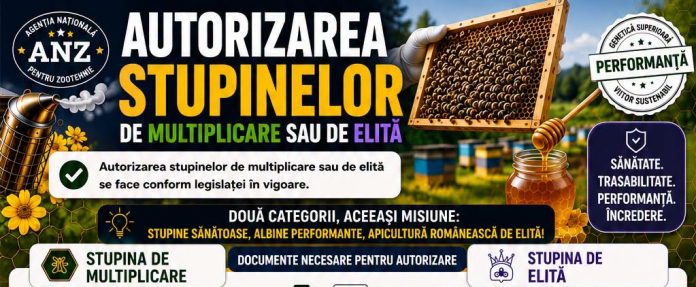 Infografic oficial ANZ privind autorizarea stupinelor de multiplicare si de elita cu lista documentelor necesare in 2026