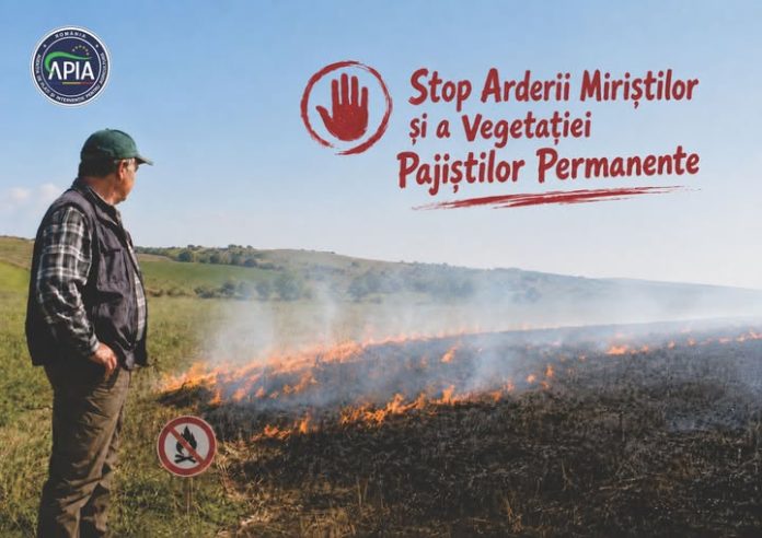 Interzicerea arderii miriştilor pe un teren agricol monitorizat de APIA unde un fermier observă vegetația incendiată.