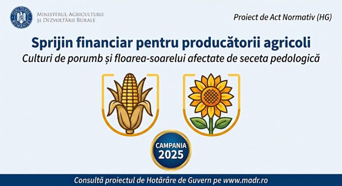 Sprijin financiar acordat de Ministerul Agriculturii pentru culturile de porumb și floarea-soarelui afectate de seceta pedologică din 2025.