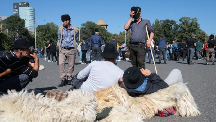 Oieri protestatari cu cojoace de blană întinși pe jos la un protest ANSVSA