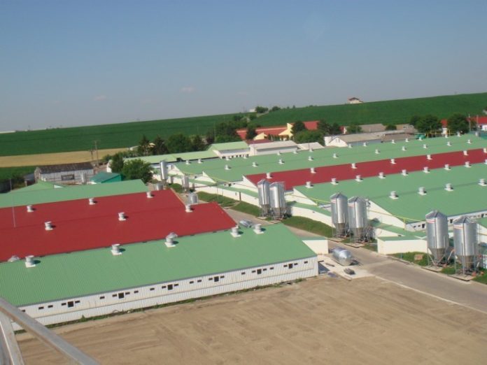 Vedere panoramică de sus a unui complex industrial modern de hale zootehnice cu silozuri de furaje, județul Iași