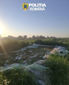 Teren agricol cu gropi acoperite cu folie pentru varză murată în pământ