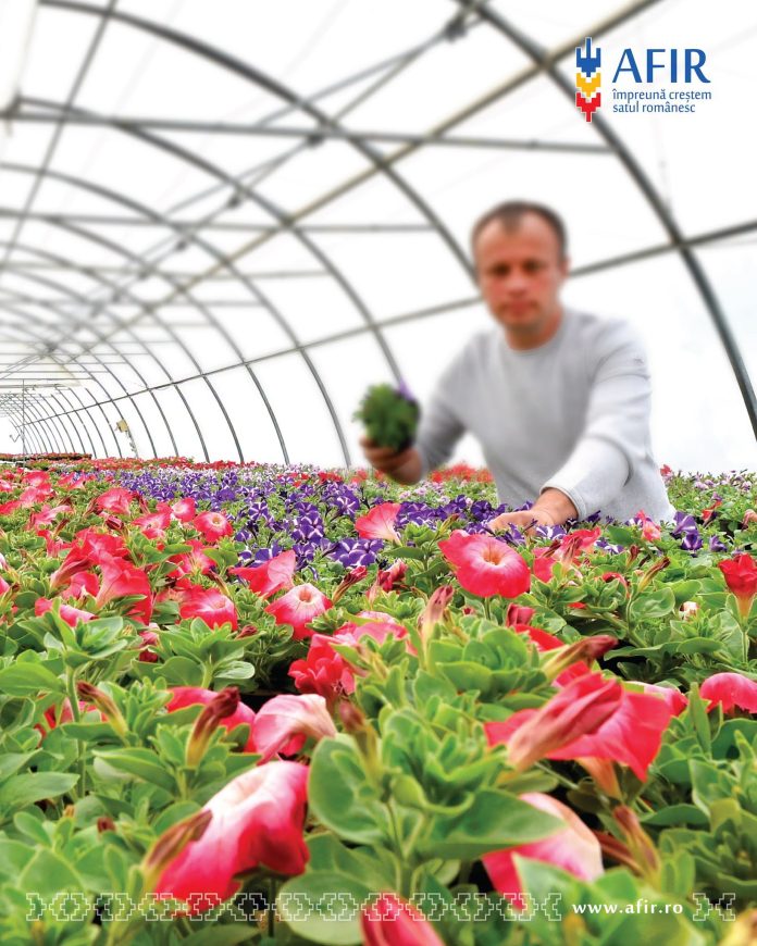 Investiții în sere de flori și plante medicinale prin măsura DR-18 gestionată de AFIR, cu finanțare de până la 100.000 de euro per proiect.
