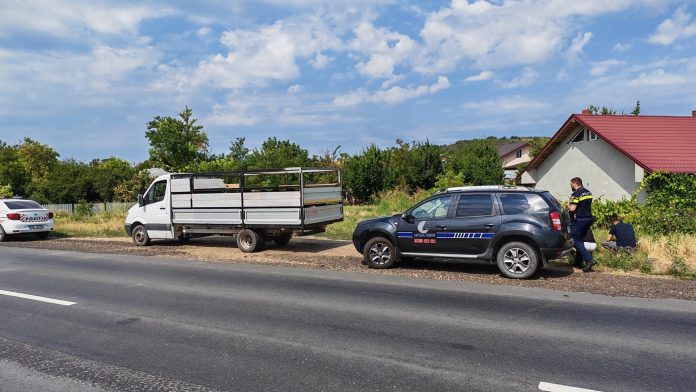 Echipaj mixt din polițiști și inspectori DSVSA opriți la un filtru rutier pentru un transport de ovine ilegal pe DN24