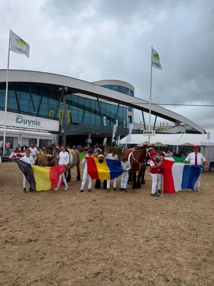 O fotografie de grup a unor tineri crescători din România, Belgia și Franța la Târgul de la Libramont, Belgia, 2026, ținându-și drapelele naționale în fața cailor de tracțiune Ardenez