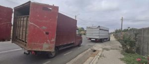 Filtre rutiere realizate de inspectori în timpul verificării unor transporturi ilegale de animale pe drumurile din Tulcea