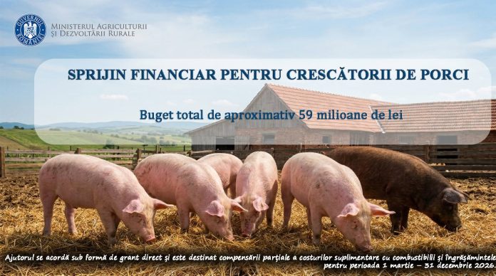 Crescătorii de porci beneficiari ai sprijinului financiar alocat de MADR pentru sectorul suin