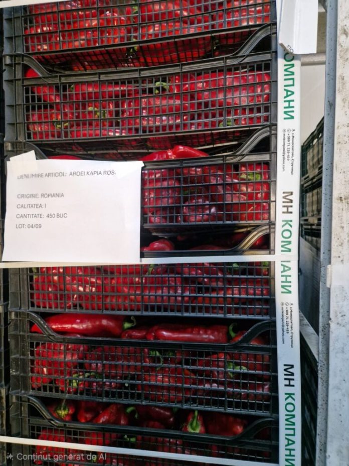 Lăzi cu ardei Kapia roșu din Uzbekistan etichetate fals cu origine România într-un depozit logistic inspectat de ANSVSA