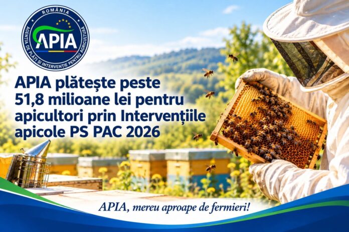 Apicultor care verifică un fagure cu albine în stupină, ilustrând plățile APIA pentru apicultori.